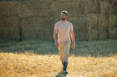 Hasat edilen samanların üzerinde çiftçi portresi. Asyalı çiftçi saman balyalarını stokluyor. Çiftçi saman balyalarının yanında duruyor. Başarılı bir hasat. Saman balyaları istiflendi