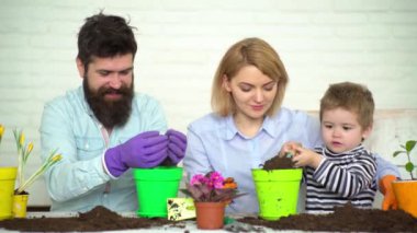 Mutlu aile bahçıvanlığı. Bahar ve hobiler, aile birlikte çiçek yetiştirir. Çocuklu tüm aile için hobi evi. Sevimli çocuk anne ve babasının bitkilere bakmasına yardım eder. Mutlu aile