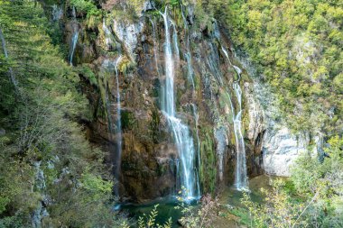 Ormandaki şelaleler. Yaz manzaralı güzel şelaleler ve berrak göl. Plitvice Lakes Ulusal Parkı, Hırvatistan. Yaz doğa manzarası