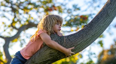Funny child climbing a tree in the garden. Active kid playing outdoors. Portrait of cute kid boy sitting on the branch tree on summer day