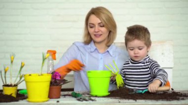 Anne ve çocuğu birlikte yetiştiriyorlar. Bahar ve hobiler, aile birlikte çiçek yetiştirir. Çocuklu tüm aile için hobi evi. Sevimli çocuk annesinin bitkilere bakmasına yardım eder. Mutlu aile