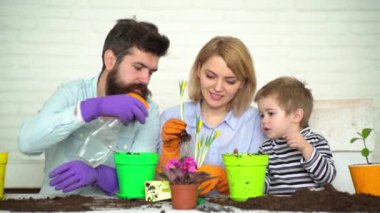 Aile çömleğe çiçek koyar. Bahar ve hobiler, aile birlikte çiçek yetiştirir. Tüm aile için hobi evi, çocuklarla eğlence. Sevimli çocuk anne ve babasının bitkilere bakmasına yardım eder. Mutlu aile