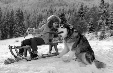 Çocuk kış dağında kızakla kayıyor, güzel bir kış parkında kızakla kayıyor. Çocuklar köpek gibi sarılır.