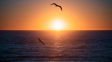 Deniz dalgaları altın gün doğumu. Okyanusun üzerinde gün doğumu