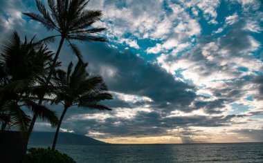 Maui adasında plaj, Aloha Hawaii