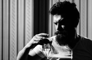 Adam rahatlatıcı ve enjoing. Kendi kendine güvenen acımasız adam viski içen portresi. Viski, konyak veya konyak kavramı