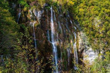 Plitvice Lakes Ulusal Parkı. Hırvatistan. Büyük şelaleler. Doğa yolculuğu geçmişi. Güzel yaz doğası. Hırvatistan 'daki Plitvice şelaleleri. Ormanın derinliklerindeki göl. Turkuaz Gölleri