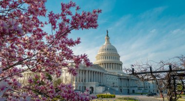 Kongre binası, Amerikan baharı, kongrede bahar. Washington DC 'de bahar mevsimi. Baharda meclis binası. ABD Kongresi, Washington D.C.