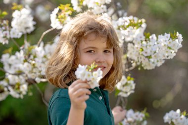 İlkbahar. Bahar bahçesinde bir çocuk. Çiçek açan bir ağacın altındaki çocuk. Çiçek parkındaki çocuk. Bahar bahçesinde çocuk oyunu. Çiçek açan kiraz ağacının yanındaki çocuklar. Bahar çiçekleri arasında mutlu bir çocuk