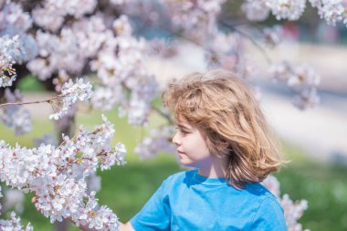 Çocuklar baharda çiçek takınırlar. Güzel bir bahar gününde kiraz bahçesinde çiçek açan bir çocuk. Bahar çiçekleri arasında mutlu bir çocuk. Çiçekli bahçedeki çocuk. Çiçek açan ağacın yanındaki çocuk portresi.