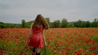 Çiçekli bahar gelincik tarlasında kırmızı elbiseli mutlu bir kadın. Çiçekli haşhaş tarlası. Gelincik çiçekli romantik bahar kadınının portresi. Bahar güzellik modeli gelincik tarlasında, bahar zamanı