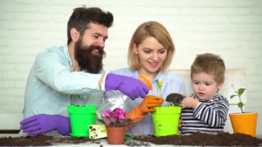 Aile çömleğe çiçek koyar. Bahar ve hobiler, aile birlikte çiçek yetiştirir. Tüm aile için hobi evi, çocuklarla eğlence. Sevimli çocuk anne ve babasının bitkilere bakmasına yardım eder. Mutlu aile