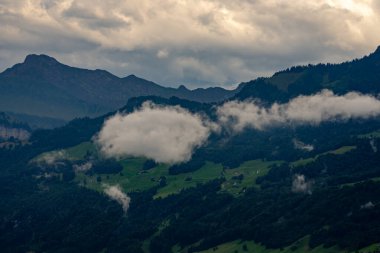 Orman geçmişi. Alp dağlarındaki orman, İsviçre. Dağ manzarası. Orman manzarası. İsviçre 'de dağın eteğindeki ağaçlar. Ekosistem doğa ve çevre kavramları. Doğal manzara.