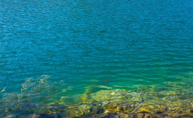 Arka planda nehrin sakin şeffaf suları. Güzel doğa gölü. Güneşli bir günde, berrak bir göl suyu yüzeyinden yansıyan manzara. Ormanda sakin bir nehir