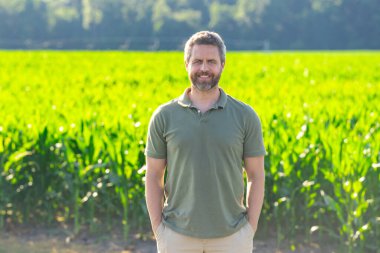 Gün batımında mısır tarlasında duran bir çiftçi. Çiftlikte mısır toplayan bir çiftçi. Hasat zamanında tarlada çalışan bir çiftçi. Kırsal kesimde mısır hasadı. Çiftlikteki mısır tarlasında bir adam