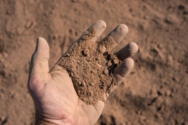 Toprak çiftçilerin elinde. Tohum ekmeden önce toprak testi. Çiftçilik için sağlıklı toprak. Tarım arazilerini ekime hazırlıyorum. Ellerin toprak içinde. Çiftçi zemin bileşimini tutuyor. Hasat için zemin