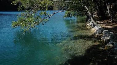 Hırvatistan 'da dağlarla çevrili sakin bir göl. Plitvice Gölleri 'nin huzurlu bir yaz manzarası. Yazın sakin bir dağ gölü. Bir göl ve dağlarla sakin bir doğa sahnesi