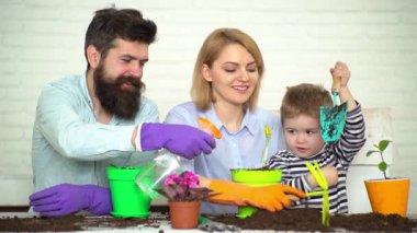 Aile ekimi. Bahar ve hobiler, aile birlikte çiçek yetiştirir. Tüm aile için hobi evi, çocuklarla eğlence. Sevimli çocuk anne ve babasının bitkilere bakmasına yardım eder. Mutlu aile