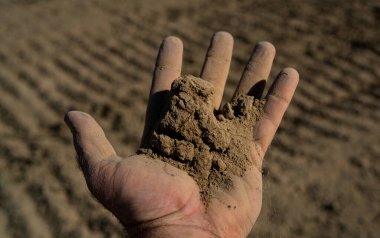 Çiftçi Toprakları 'nın eli. Tohum ekmeden önce toprak testi. Çiftçilik için sağlıklı toprak. Tarım arazilerini ekime hazırlıyorum. Ellerin toprak içinde. Çiftçi zemin bileşimini tutuyor. Zemin tarım arazisi