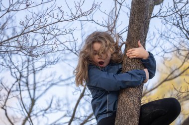 Parktaki ağaçlara tırmanan çocuk. Ağaç gövdesine sarılan mutlu çocuk. Ağaç ormanındaki çocuk. Ağaçların arasında oynayan tatlı bir çocuk. Kırsalda çocukluk eğlencesi. Gülümseyen çocuk ağaç dalına tırmanıyor