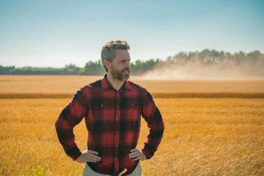 Amerikan çiftçisinin buğday tarlasındaki portresi. Çiftçi çiftlikteki hasatı inceliyor. Buğday çiftçiliğe hazır. Çiftçilerin ektiği topraklar. Çiftçi bitkilerin büyümesini inceliyor. Tarlada yürüyen bir tarım işçisi