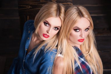 Parlak makyaj. İkizlerin yakın plan portresi. Kardeşlerin yüzlerinde güzel bir makyaj. Moda makyajlı kız arkadaşlar. Kardeşlerin güzelliği. Makyajlı seksi ikizler. Seksi makyaj malzemesi. Kapan kadın yüzü, güzellik.