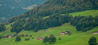 Orman geçmişi. Alp dağlarındaki orman, İsviçre. Dağ manzarası. Orman manzarası. İsviçre 'de dağın eteğindeki ağaçlar. Ekosistem doğa ve çevre kavramları. Doğal manzara.