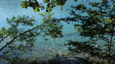 Yazın gökyüzünü yansıtan huzurlu bir göl. Sisli bir şelale sakin bir atmosfer yaratıyor. Hırvatistan 'da dağlarla çevrili sakin bir göl. Plitvice Gölleri 'nin huzurlu yaz manzarası