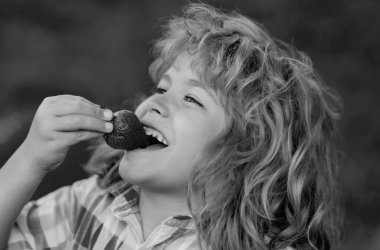 The child is picking strawberry in the garden. Happy little child with strawberries outdoors. Kid picking and eating ripe strawberry in summer park. Healthy strawberry fruit. Summer kid face