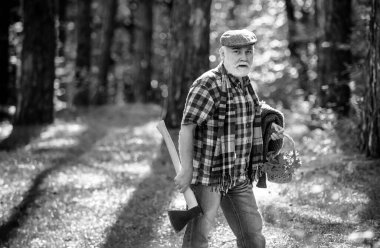 Yaşlı turistler ormanı keşfeder. Yaz kampı. Baltalı yaşlı sakallı adam. Dışarıdaki yaşlı sakallı adam. Yaşlı adam sepetten çiçek topluyor. Yaşlı komik ormancı. Güzel güneşli hava