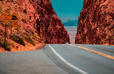 Dağlarda yol. ABD 'de köy yolu. Güneşli yaz gününde yol manzarası