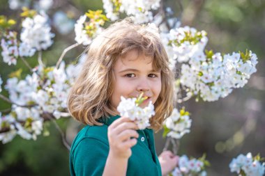 Bahar kiraz çiçeği parkındaki çocuk. Mutlu bir çocukluk. Bahar tatili. Bahar bahçesindeki sevimli çocuk. Çiçek açan bir ağacın altında küçük şirin bir çocuk. Bahar bahçesinde güzel bir çocuğun portresi.