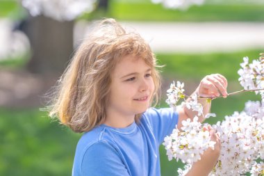 Bahar tatili. Çiçeklerle kiraz ağacının altında oynayan mutlu çocuk. Çocuklar bahar çiçekleri arasında doğayla iç içe olurlar. Bahar eğlencesi. Çocuk güzel bir bahar bahçesinde.
