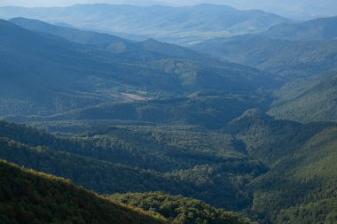 Karpat Dağları ve ağaç arka planı. Dağlar manzaralı. Alp çayırları ve güzel dağlar. Orman geçmişi. Dağ manzarası. Dağın turistik manzarası. Doğa arkaplanı
