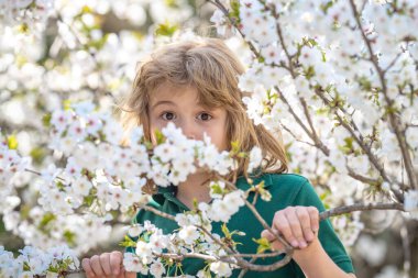 Dışarıdaki çiçek ağacının yanındaki sevimli çocuğun yüzünü kapat. Web sitesi başlığı için bahar afişi. Baharda çiçek açan bahçede güzel bir çocuğun portresi. Bahar çiçekleriyle mutlu çocuk
