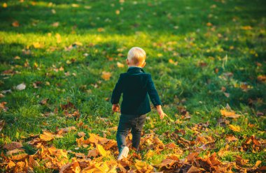 Sonbaharda çocuk doğa yürüyüşüne çıkar. Küçük beyaz bir çocuğun sonbahar portresi.