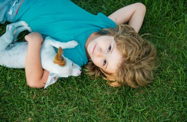 Arkadaşlarına sarıl. Şirin bir çocuk arka bahçede Chihuahua karışık köpeğiyle oynuyor.