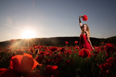 Çiçekli bir çayırda bahar güzeli kadın. Haşhaş tarlasında güzel bir kadın. Yaz çiçekleri tarlasında romantik bir kadın. Genç ve narin bir kadın bahar otlağının tadını çıkarıyor.