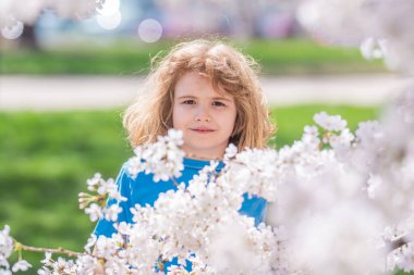 Bahar tatili. Çiçeklerle kiraz ağacının altında oynayan mutlu çocuk. Çocuklar bahar çiçekleri arasında doğayla iç içe olurlar. Bahar eğlencesi. Çocuk güzel bir bahar bahçesinde.