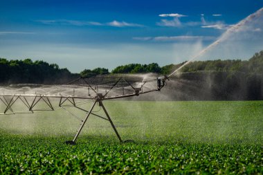 Çiftlikteki bitkileri sulamak için kullanılan sulama sistemi. Günbatımı, sulama tarımı. Günbatımında sulama yapılan tarla. Akıllı tarım konsepti. İlkbaharda sulama sistemiyle mısır tarlası