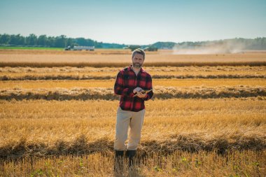 Amerikan çiftçisinin buğday tarlasındaki portresi. Çiftçi çiftlikteki hasatı inceliyor. Buğday çiftçiliğe hazır. Çiftçilerin ektiği topraklar. Çiftçi bitkilerin büyümesini inceliyor. Tarlada yürüyen bir tarım işçisi