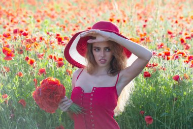 Çiçekli bir çayırda bahar güzeli kadın. Haşhaş tarlasında güzel bir kadın. Yaz çiçekleri tarlasında romantik bir kadın. Genç ve narin bir kadın bahar otlağının tadını çıkarıyor.