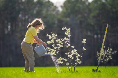Bahçede çalışan bir çocuk. Bahçede yetişen ağaç ve bakım bitkisi. Bahçıvanlık sezonu. Bitki yetiştiren bir çocuk. Bahçe işleri. Çocuk bahçede meyve ağacı suluyor. Çocuk dikme ağacı. Bahçede bahar