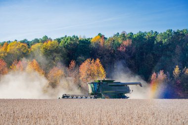 Buğday tarlasında hasatçıyı birleştir. Kırsal kesimde hasat. Çiftçilik makineleri. Tarım makinesi çalışıyor. Kırsal arazide hasat makinası var. Tarım ekipmanları. Toprak sürme ve yetiştirme