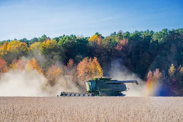 Buğday tarlasında hasatçıyı birleştir. Kırsal kesimde hasat. Çiftçilik makineleri. Tarım makinesi çalışıyor. Kırsal arazide hasat makinası var. Tarım ekipmanları. Toprak sürme ve yetiştirme