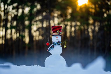 Kardan adam kış arka planı. Kar tatili sahnesi. Fularlı kardan adam. Karlı peyzaj tasarımı. Şapkalı mutlu kardan adam. Kış bayrağı. Buz gibi kardan adam. Kış tebrik kartı. Komik kardan adam.