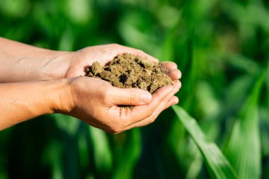 Meliorasyon toprak kalitesini yükseltiyor. Arazi ekime hazır. Ekim mevsimi. Toprağı besleyen humus. Taze toprağın topraksı kokusu. Ön hazırlık. Bereketli toprak ekime hazır. Grunge eldeki toprağı