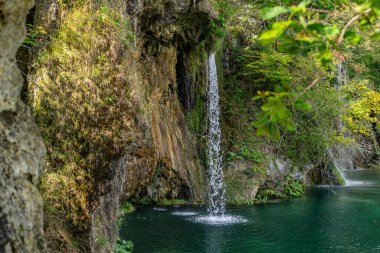 Bahar doğasında güzellik, ormanda inanılmaz şelale. Şelale ve gölet. Güzel panoramik derin orman şelalesi. Yeşil ormanlı şelalelere güzel bir manzara. Şelalenin sakin suları