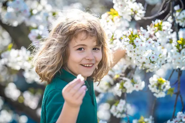 Çocuk çiçek parkındaki bahar çiçeklerini kokluyor. Çocuklar çiçek dallarında yüzükoyun yatarlar. 10 yaşında, bahar aylarında çiçek açan güzel bir çocuk. Doğayı yakından takip ediyor. Bahar sezonu. Çocukluk