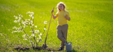 Çocuk bahçeye ağaç dikiyor. Çocuk kürekle toprak kazıyor ve ağaç dikiyor. Çocuk bahçıvan meyve ağaçlarıyla ilgileniyor. Çocuklarla ağaç dikmek. Yeşillik arayan bir çocuk. Çocuklar için bahçe.